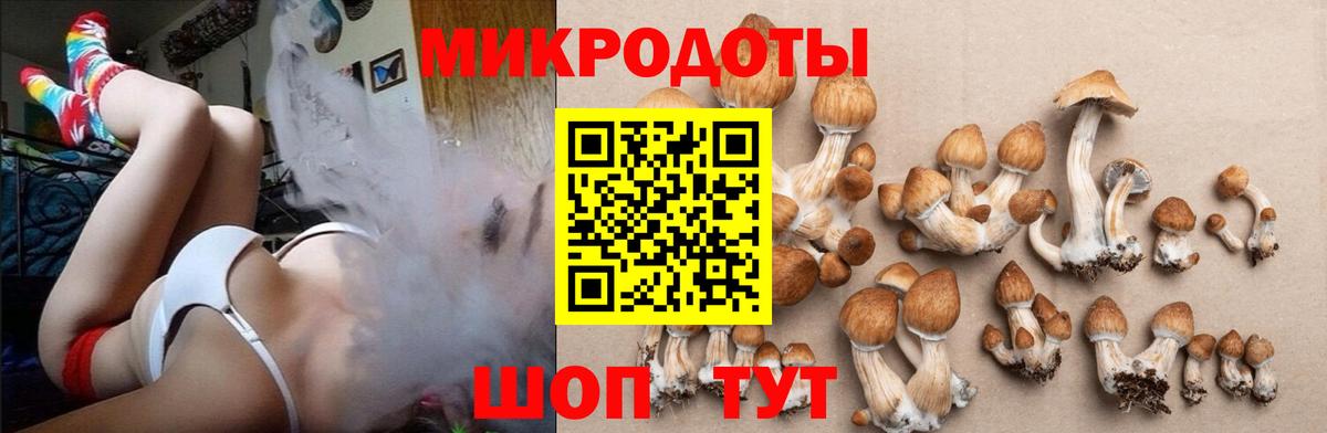 продажа наркотиков  Псилоцибиновые грибы ЛСД  Вход с VPN  Лыткарино 